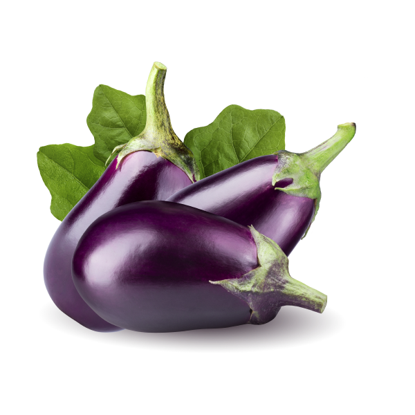 Eggplant_1